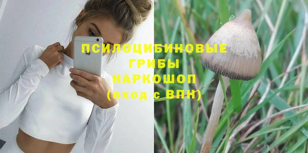 ГАЛЛЮЦИНОГЕННЫЕ ГРИБЫ Армянск