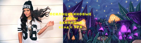 ГАЛЛЮЦИНОГЕННЫЕ ГРИБЫ Армянск