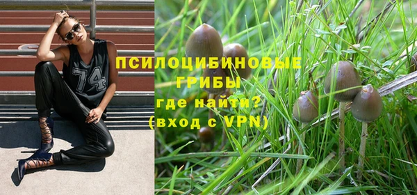 каннабис Арсеньев