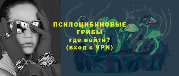 ГАЛЛЮЦИНОГЕННЫЕ ГРИБЫ Армянск