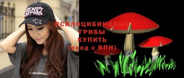 ГАЛЛЮЦИНОГЕННЫЕ ГРИБЫ Армянск